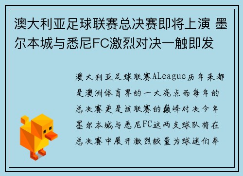 澳大利亚足球联赛总决赛即将上演 墨尔本城与悉尼FC激烈对决一触即发