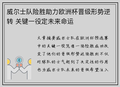 威尔士队险胜助力欧洲杯晋级形势逆转 关键一役定未来命运
