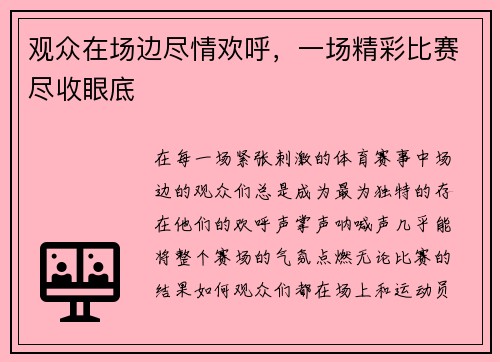 观众在场边尽情欢呼，一场精彩比赛尽收眼底
